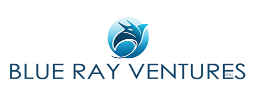 Blue Ray Ventures
